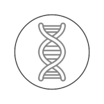 icon-potencialização-de-crescimento